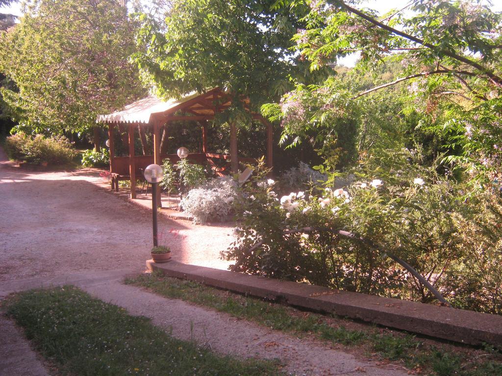 La Villa Di Lucia Viterbo Habitación foto