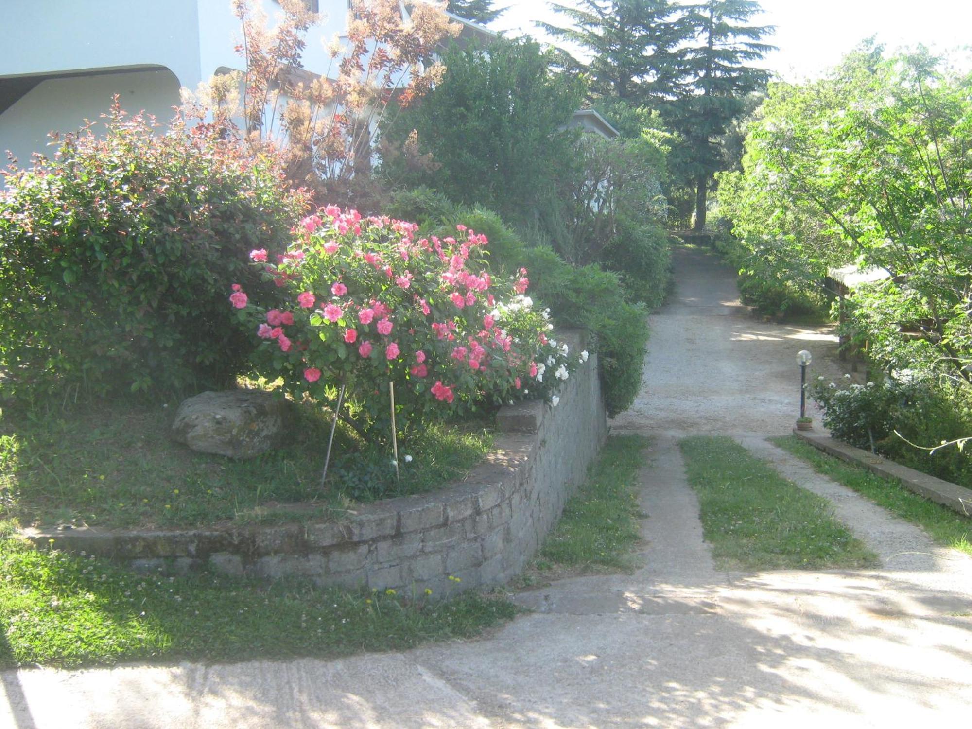 La Villa Di Lucia Viterbo Exterior foto