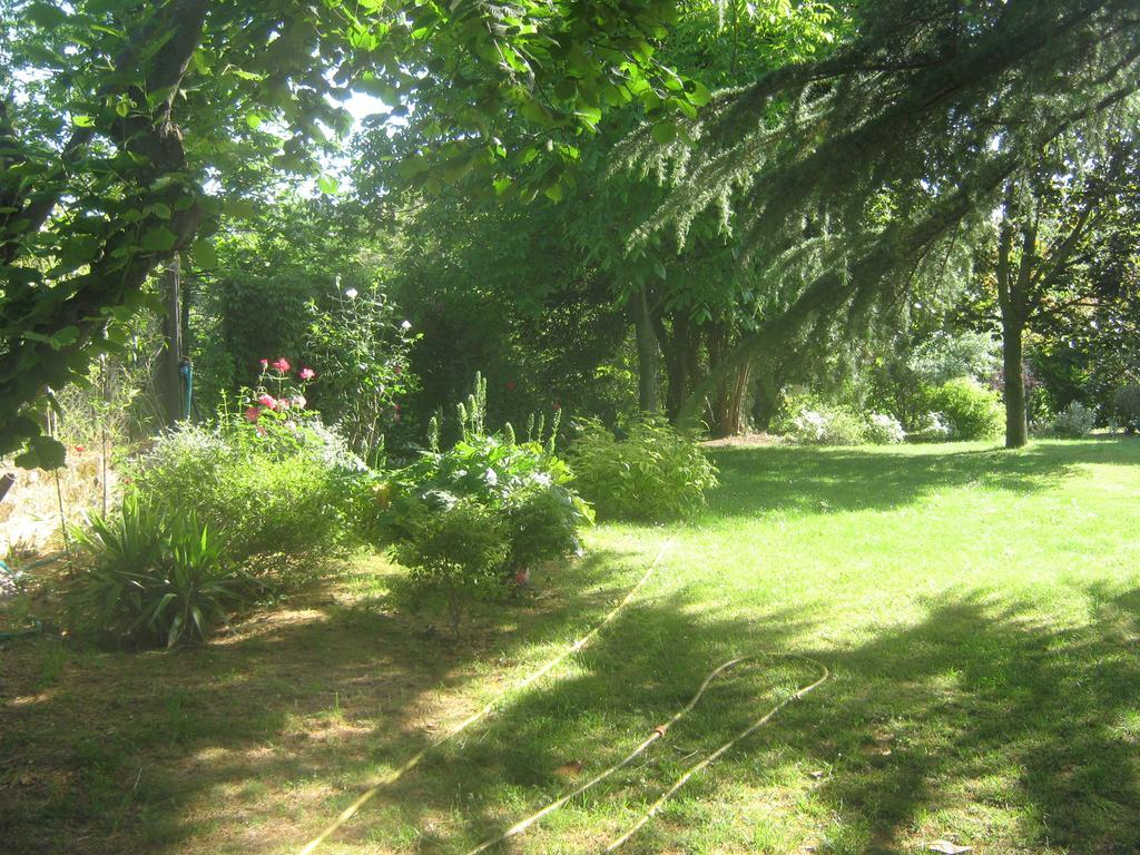 La Villa Di Lucia Viterbo Habitación foto