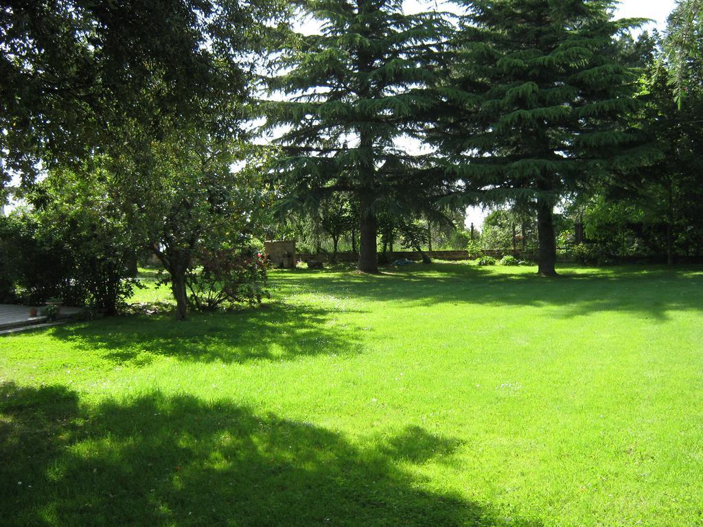 La Villa Di Lucia Viterbo Habitación foto